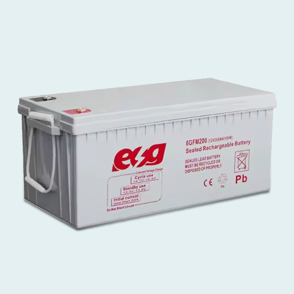 ESG 12V200Ah Deep Cycle AGM Battery